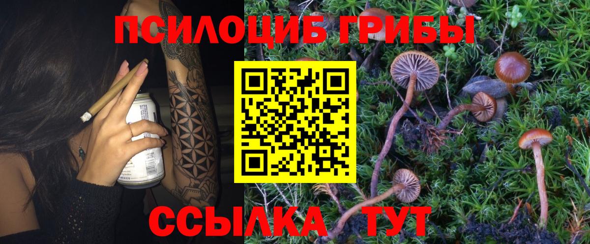 Псилоцибиновые грибы Cubensis Кумертау
