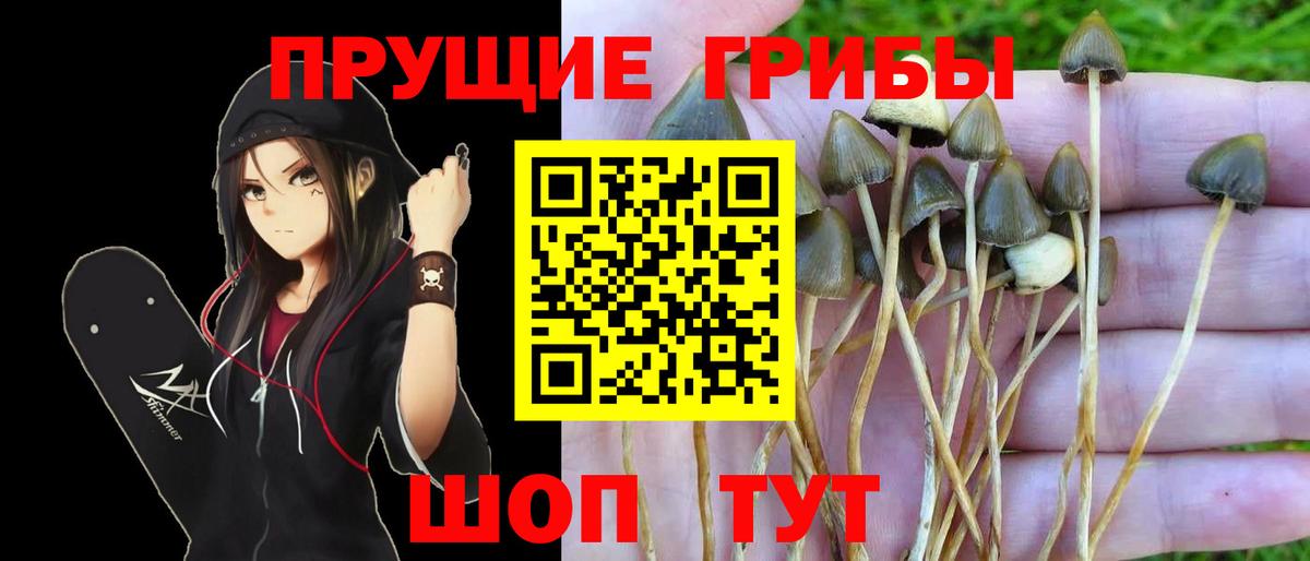 Галлюциногенные грибы Magic Shrooms  Псилоцибиновые грибы MAGIC MUSHROOMS  Вход с VPN  Кумертау 